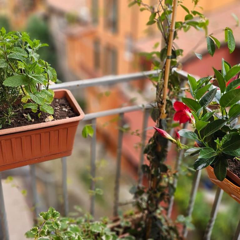 Appartamento nel cuore della città - Appartamento con 2 Camere da Letto - 20