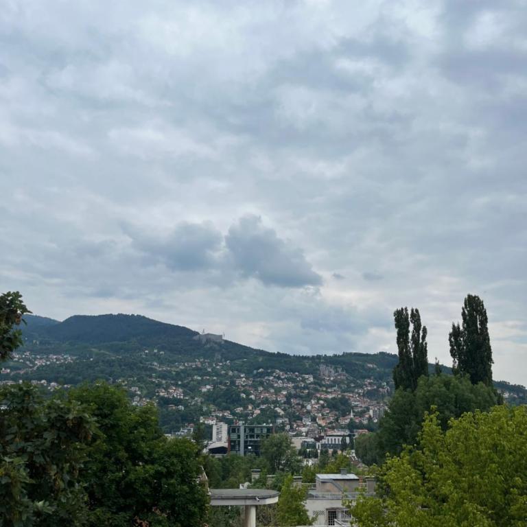 Central Botanic Apartment - Apartman sa 1 Spavaćom Sobom - 24