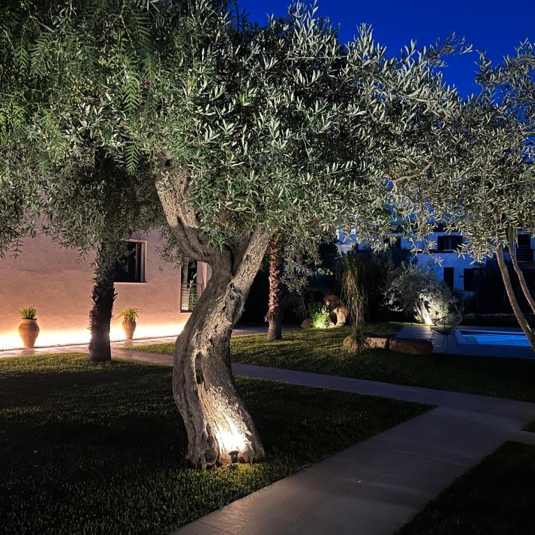 Villa Carla - Appartamento con Terrazza - 8