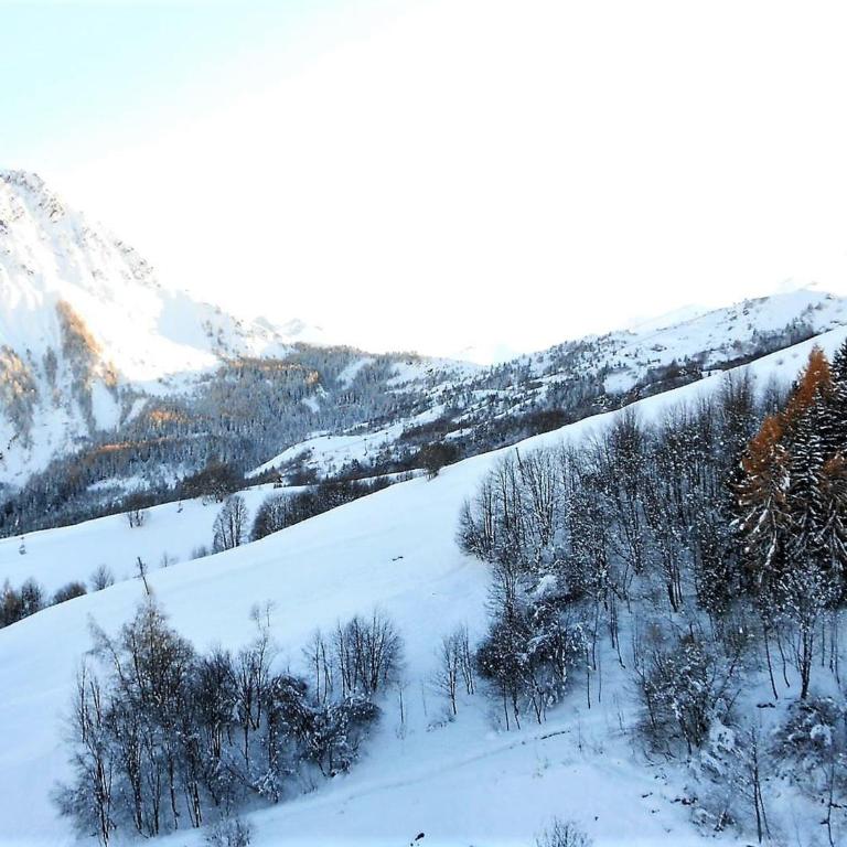 Studio chaleureux, skis aux pieds, balcon sud avec vue pistes - Studio - 15