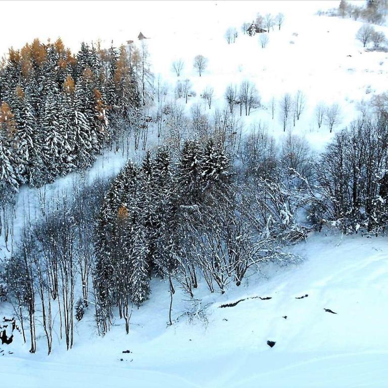 Studio chaleureux, skis aux pieds, balcon sud avec vue pistes - Studio - 16