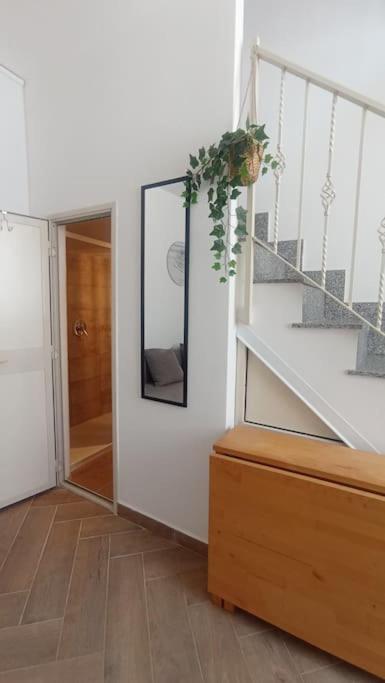 Nicaredda - One-Bedroom House - 7