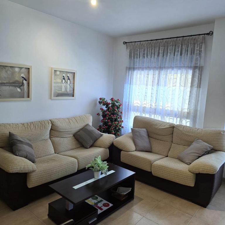 Maestrat G - Apartamento de 2 dormitorios - 2
