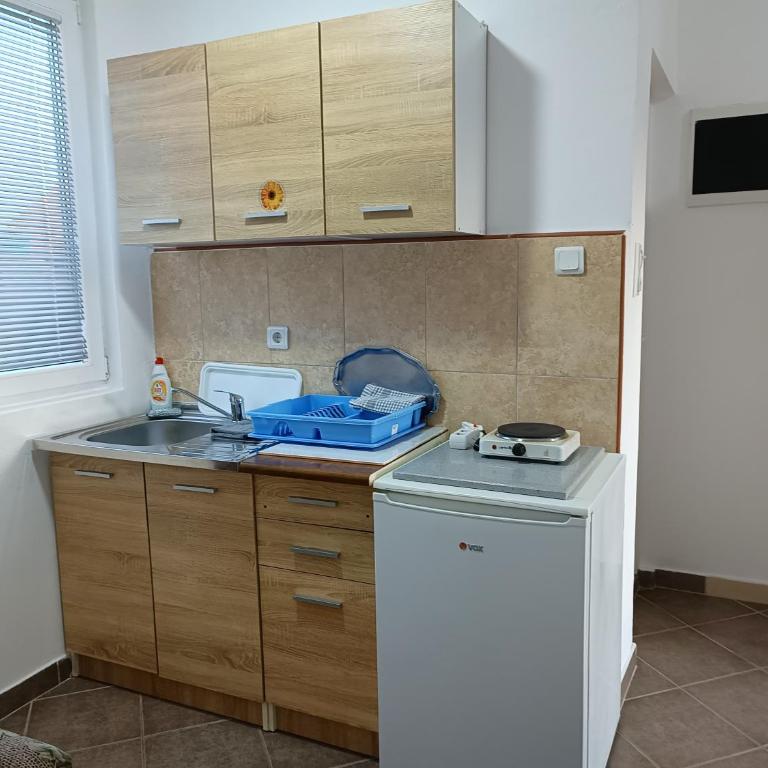 Apartmani DEMIR - Četvorokrevetna Soba sa Pogledom na Vrt - 3