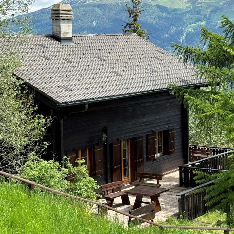 Le Grand Paradis - Away from the summer heat - Les Collons - Chalet - 2