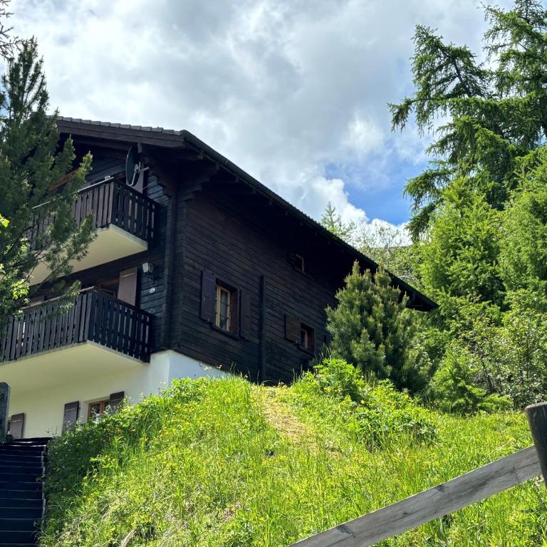 Le Grand Paradis - Away from the summer heat - Les Collons - Chalet - 1