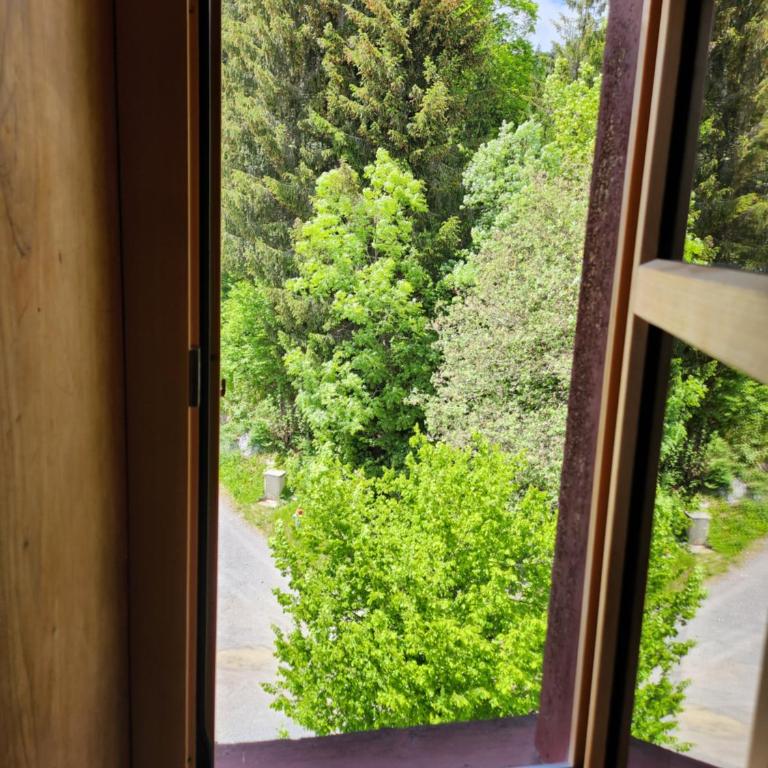 Gasthaus Crestasee - Economy Zweibettzimmer - 1