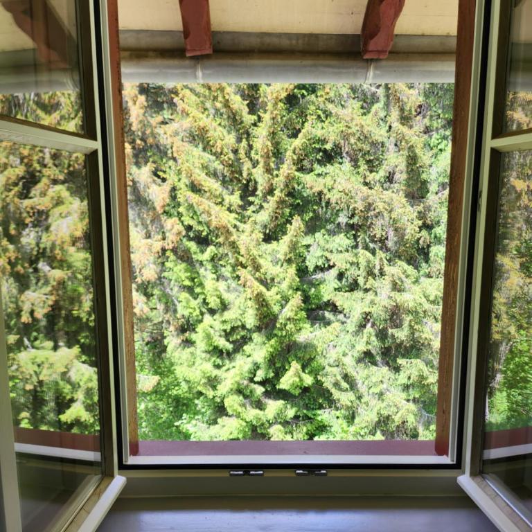 Gasthaus Crestasee - Großes Zweibettzimmer - 5