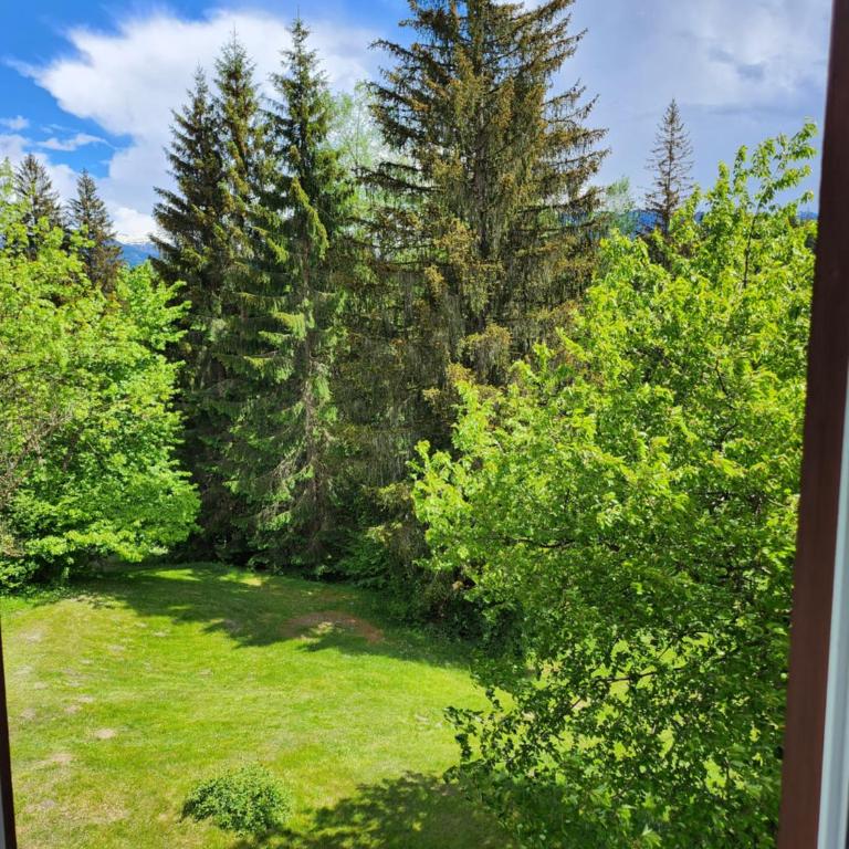 Gasthaus Crestasee - Standard Zweibettzimmer mit Gartenblick - 2