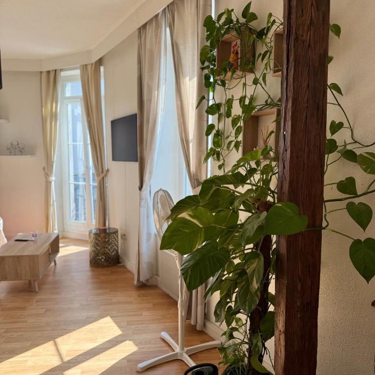 Le Stanislas Confort à Colmar - centre ville - - Appartement 3 Chambres avec Balcon - 14