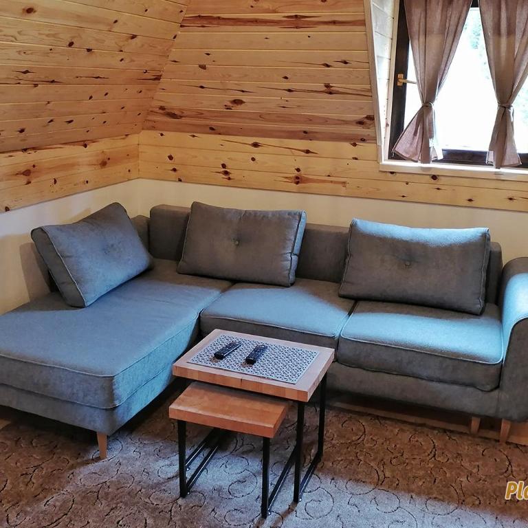 PLANINSKI KUTAK Tara - Apartman 2 - Apartman sa 1 Spavaćom Sobom - 17