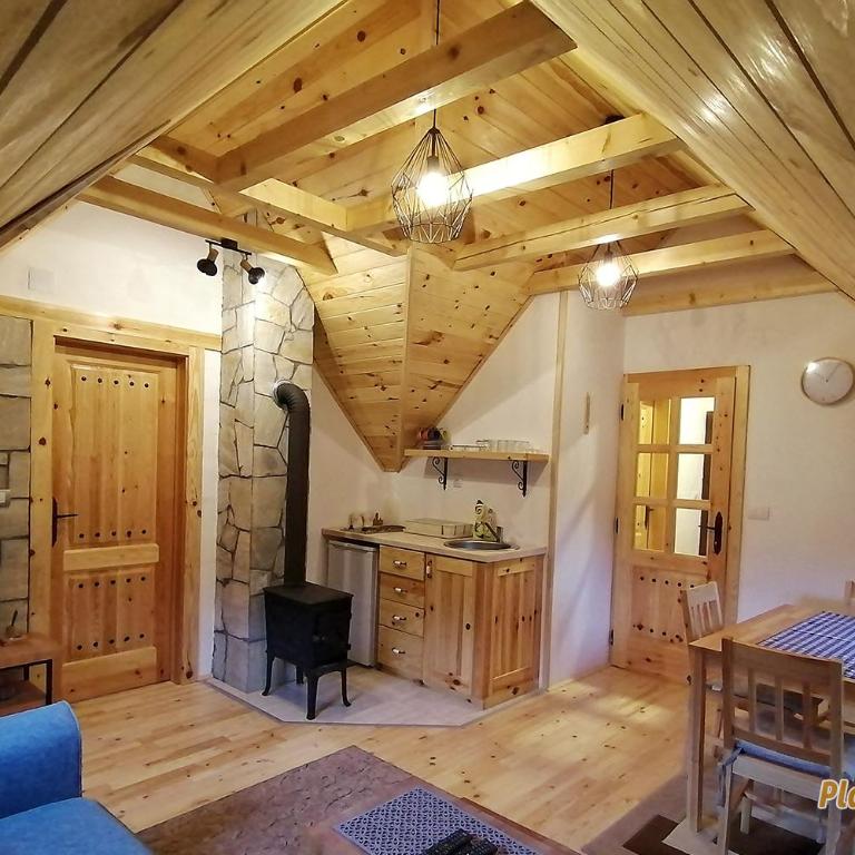 PLANINSKI KUTAK Tara - Apartman 2 - Apartman sa 1 Spavaćom Sobom - 26
