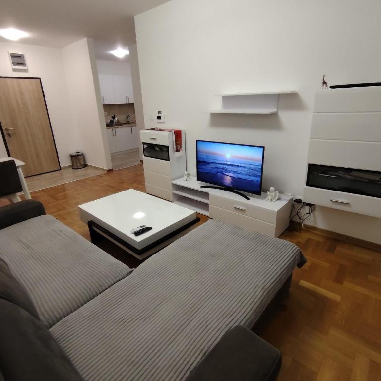 Apartman Lazarevic - Apartman sa 1 Spavaćom Sobom - 9