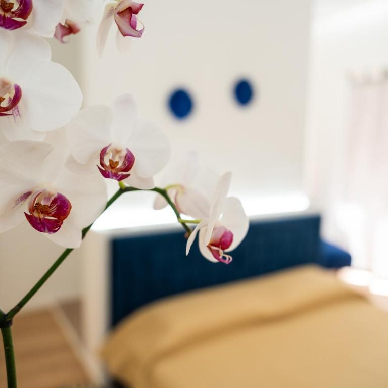 Casa Degli Aragonesi - Appartamento Familiare con 1 Camera da Letto - 7