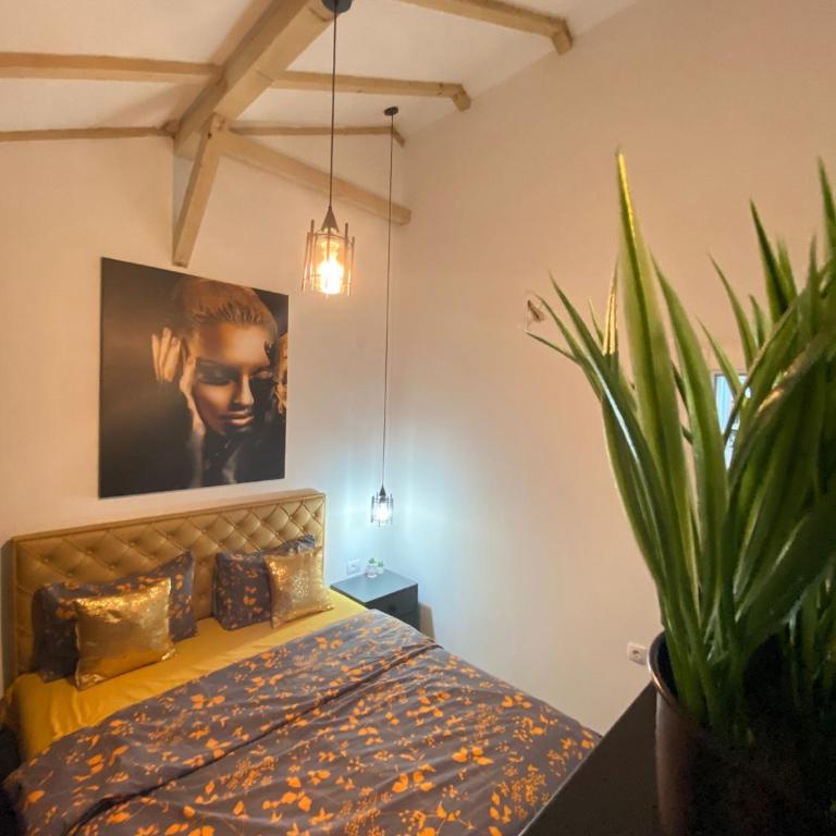 Kuća za odmor MERLIN HOUSE - Kuća sa 1 Spavaćom Sobom - 29
