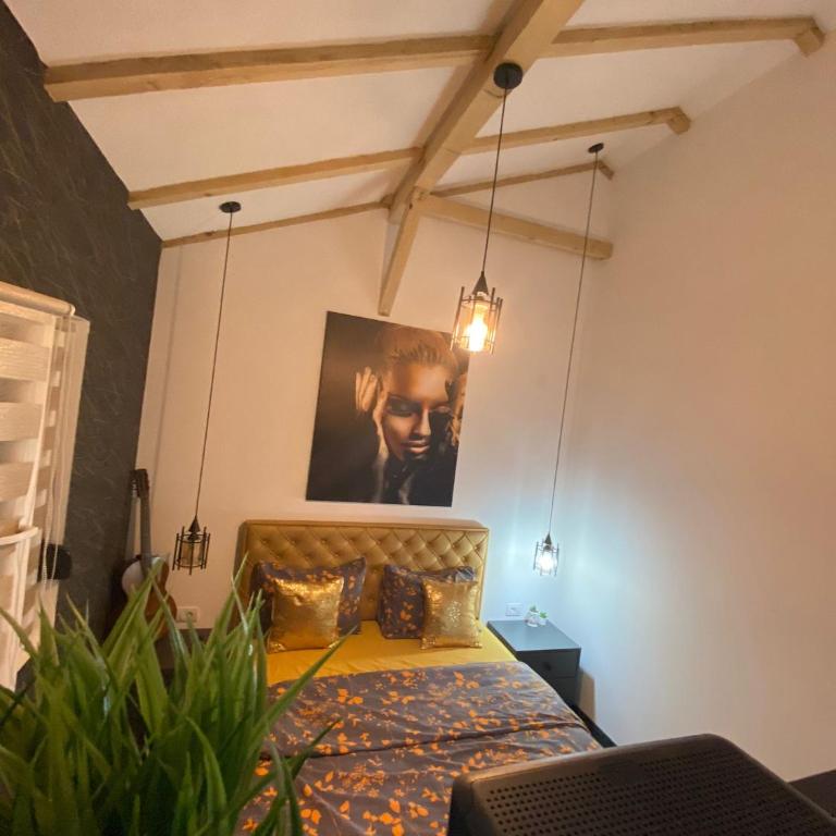 Kuća za odmor MERLIN HOUSE - Kuća sa 1 Spavaćom Sobom - 31
