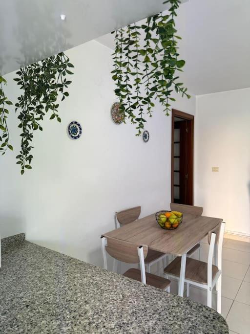 Acogedor apartamento con jardín - Apartamento de 2 dormitorios con vistas al jardín - 19