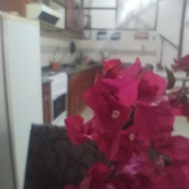 Lo de Claudia - Two-Bedroom House - 13