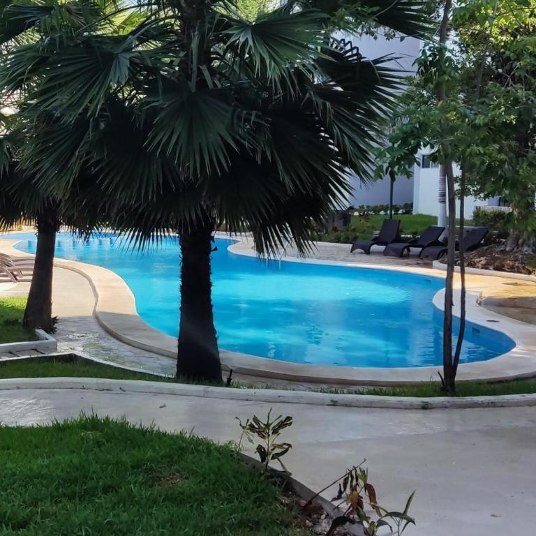 Depa Familiar PB 6pax con Alberca Rodeado de Restaurantes Zona Segura - Apartamento Estándar de 2 dormitorios - 28