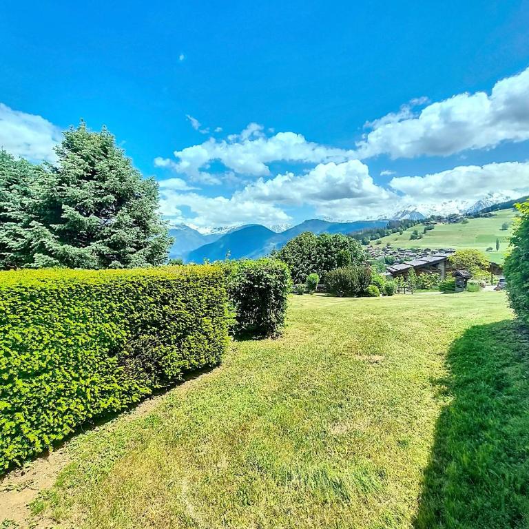 Appartement 2 chambres avec jardin au pied du Mont Blanc - FR-1-560-144 - Appartement - 2
