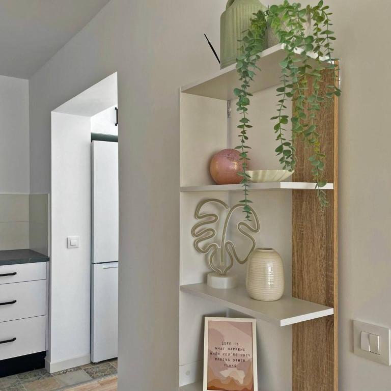 Apartamento Aurora - Ole Solutions - Apartamento de 3 dormitorios - 7