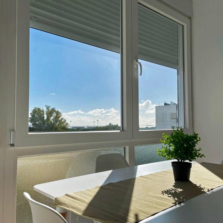 Apartamento Aurora - Ole Solutions - Apartamento de 3 dormitorios - 15