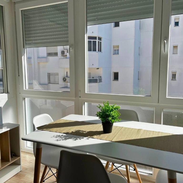 Apartamento Aurora - Ole Solutions - Apartamento de 3 dormitorios - 21