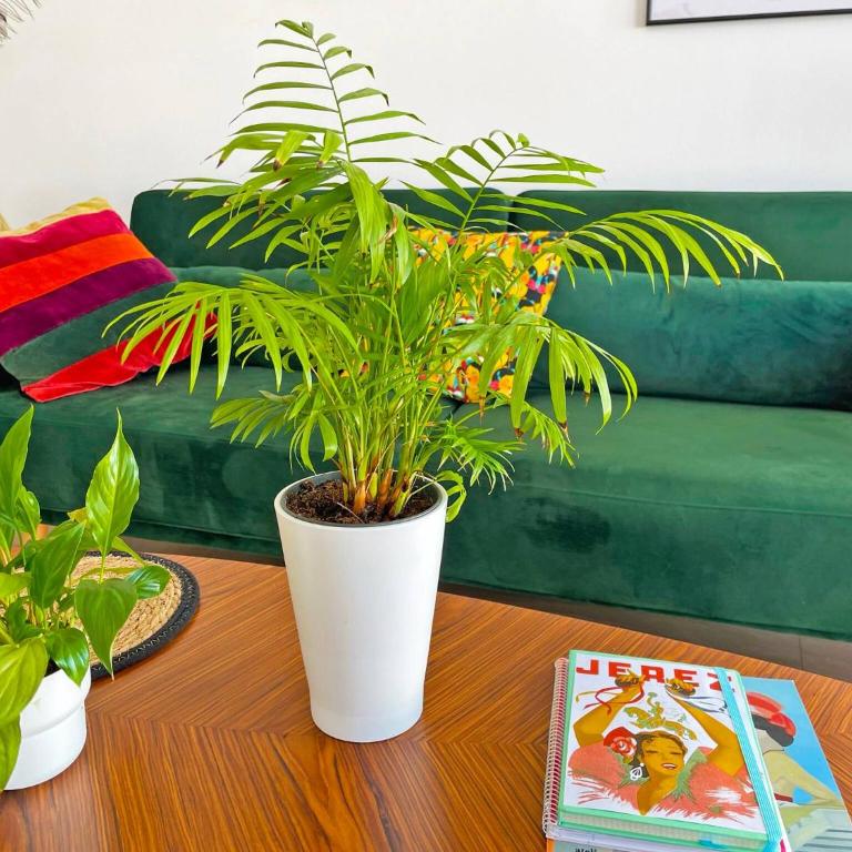 Ronda de la Luz - Ole Solutions - Two-Bedroom Apartment - 35