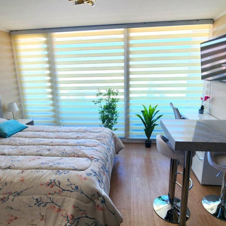 Hermoso Departamento en el centro de Chillán con estacionamiento - One-Bedroom Apartment - 6