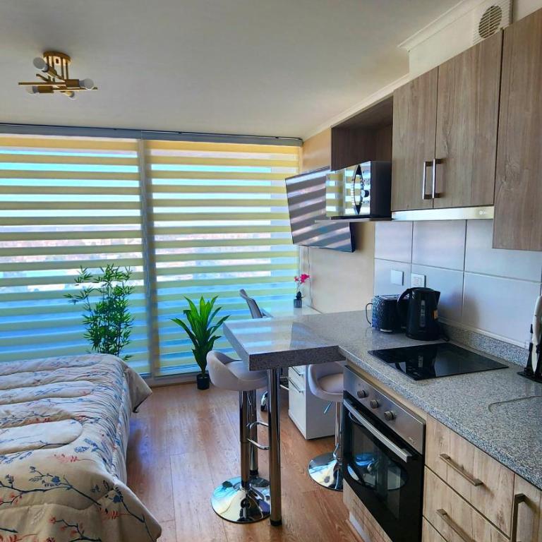 Hermoso Departamento en el centro de Chillán con estacionamiento - One-Bedroom Apartment - 4