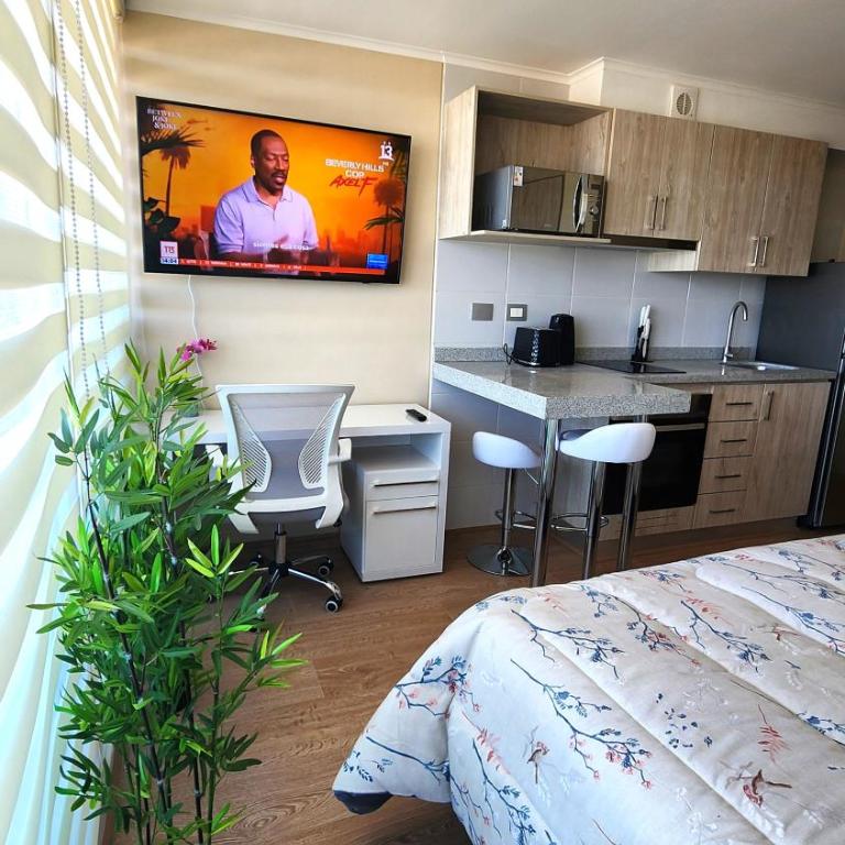 Hermoso Departamento en el centro de Chillán con estacionamiento - One-Bedroom Apartment - 2