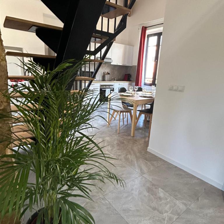 Residence "A Torbia" , 5 appartements de 2 à 6 personnes - Appartement 2 Chambres - 11