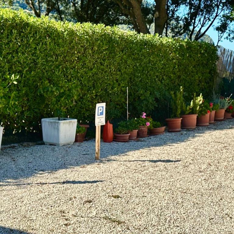 S340 - Sirolo, nuovo bilocale in centro con posto auto - One-Bedroom Apartment - 21