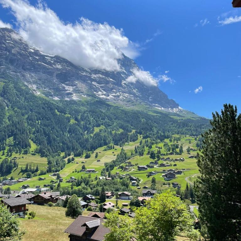 Cosy Swiss Apartment - Three-Bedroom Apartment with Eiger View - 6