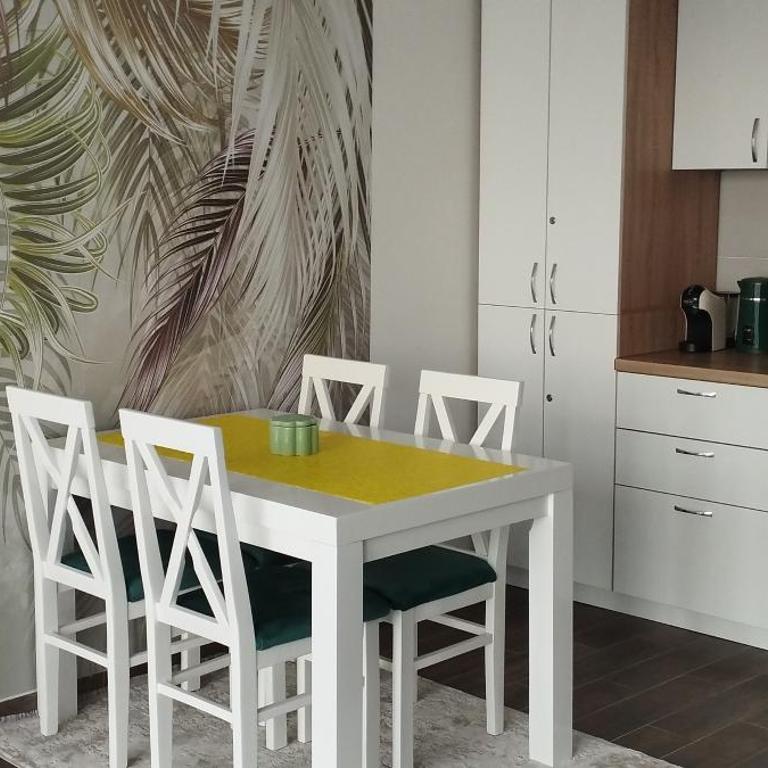CENTAR CEPERKOVIC - Apartman sa 1 Spavaćom Sobom - 7