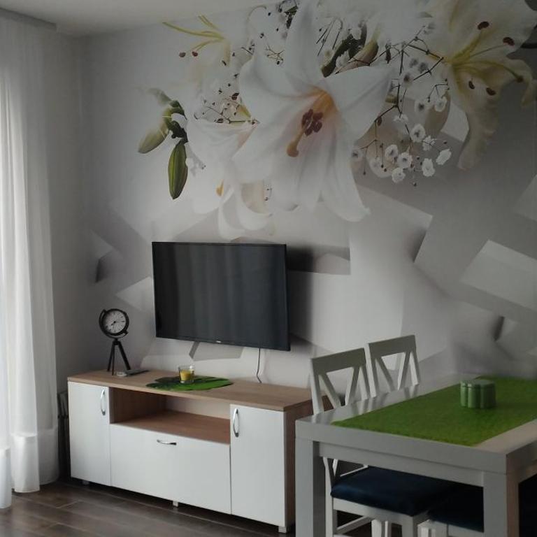 CENTAR CEPERKOVIC - Apartman sa 1 Spavaćom Sobom - 7