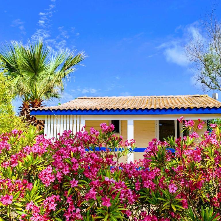 Camping Hameau Des Cannisses - Bungalow (4 Adultes) - 1