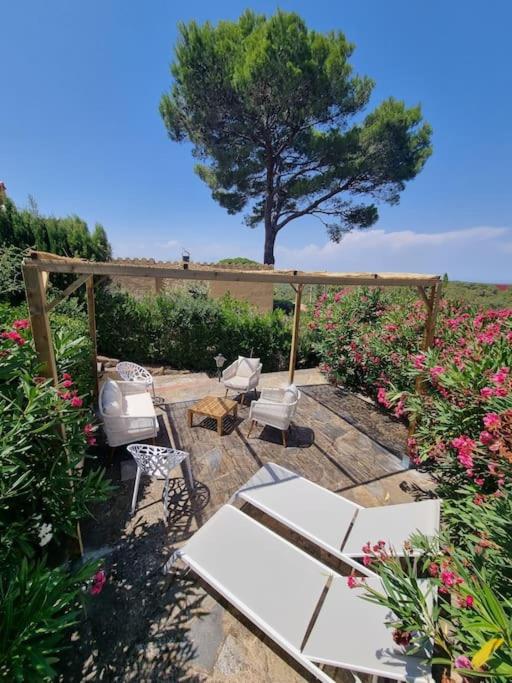 Picasso Mountain View Begur - Villa - 75