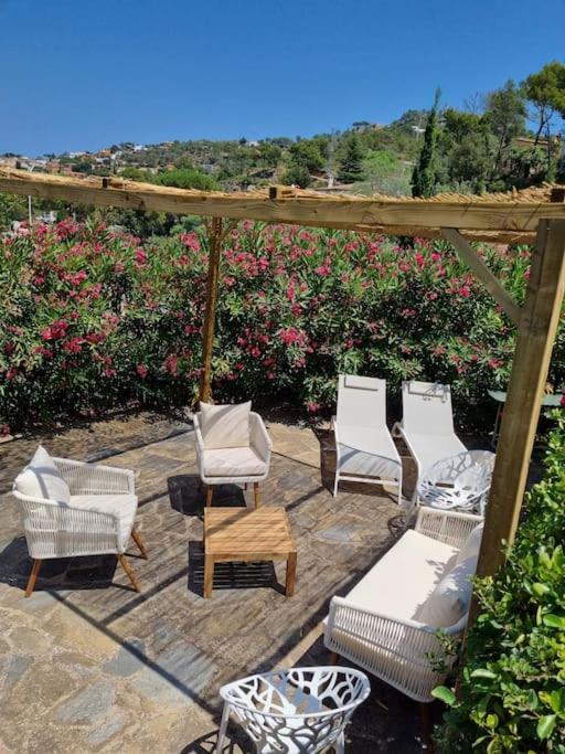 Picasso Mountain View Begur - Villa - 87