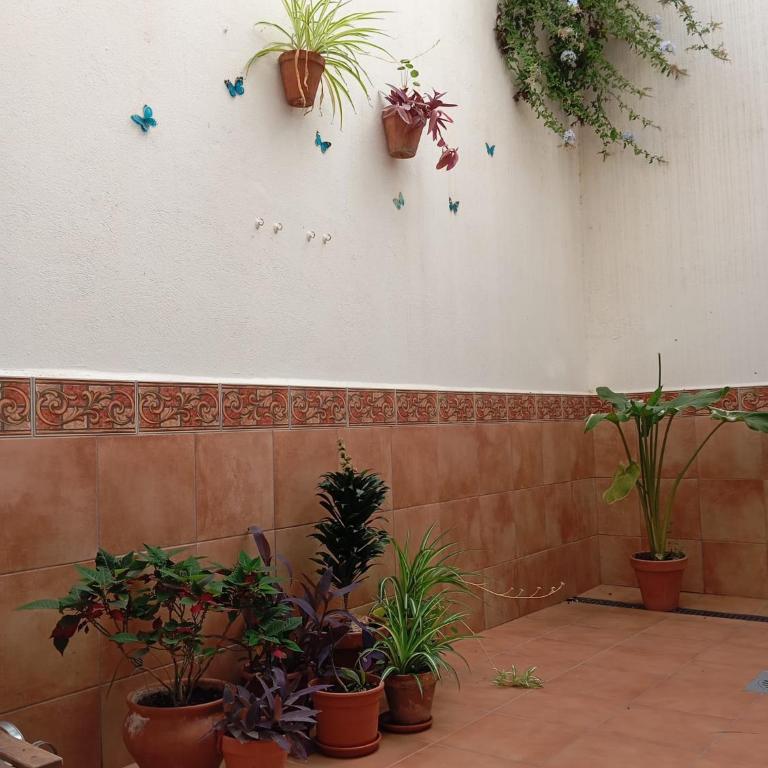 Apartamento Amapola - Apartamento de 1 dormitorio - 4