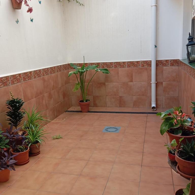 Apartamento Amapola - Apartamento de 1 dormitorio - 11