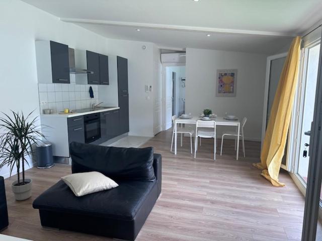 appartement au calme avec jardin privatif dans maison - Apartamento de 1 dormitorio con vistas al jardín - 5