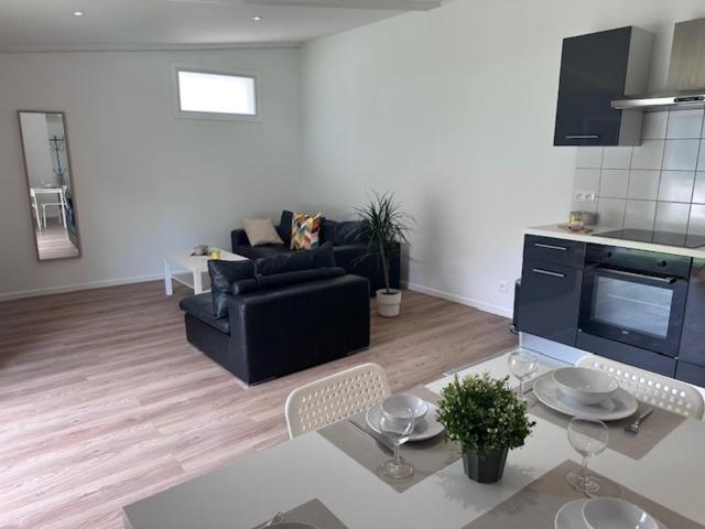 appartement au calme avec jardin privatif dans maison - Apartamento de 1 dormitorio con vistas al jardín - 12