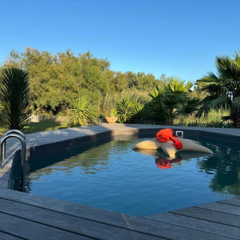 Cabane le Flamant avec jardin, piscine et parking - Appartement 1 Chambre - 16