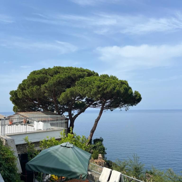 Loft Il Castello con terrazza sul mare - Apartment mit 1 Schlafzimmer - 4