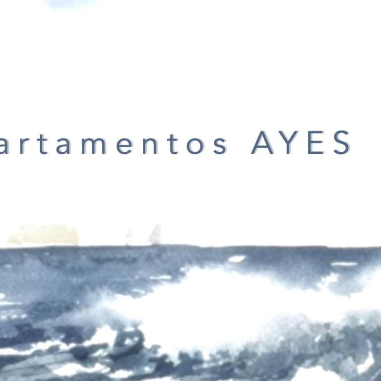 APARTAMENTO PLAYA NORTE - Apartamento de 2 dormitorios - 1