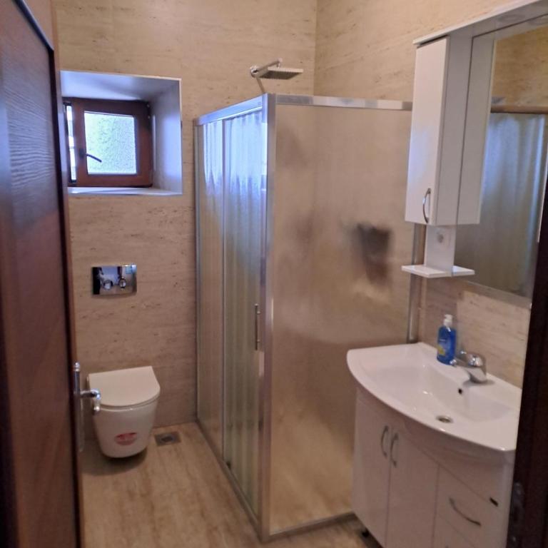 Apartments Petrović - Apartman s 2 Spavaće Sobe sa Balkonom i Terasom - 2