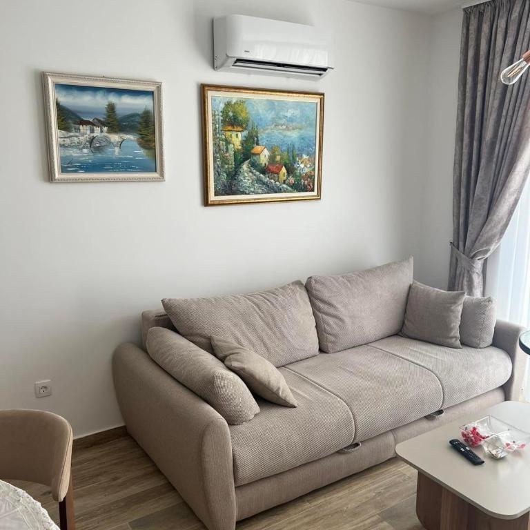 Apartment Veljko Becici - One-Bedroom Apartment - 3