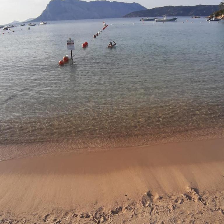 Raggio di sole - olbia - Appartamento con Terrazza - 24