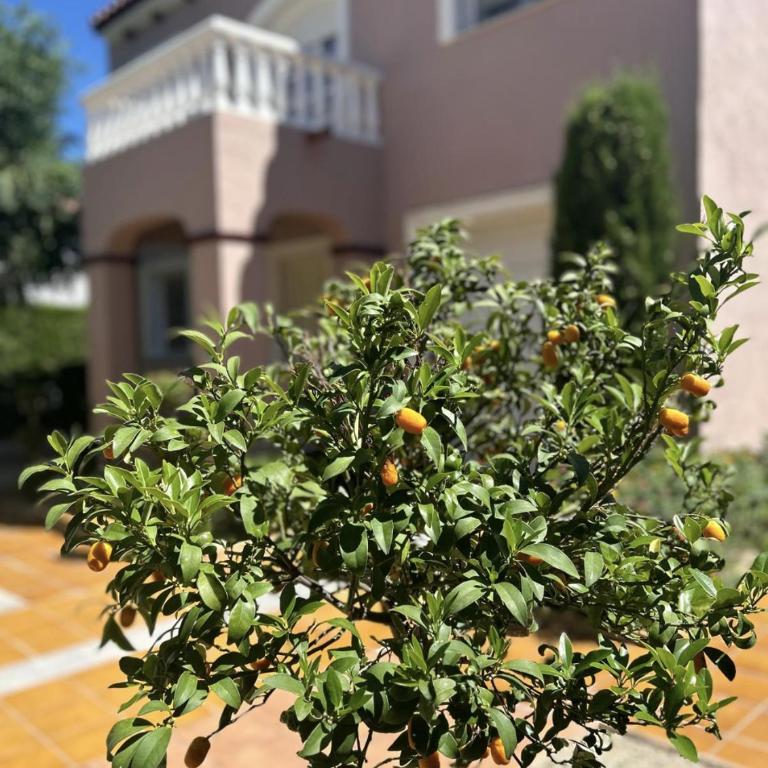 ARENDA Pino Alto Villa Napoleon - Villa de 4 dormitorios con piscina privada - 28